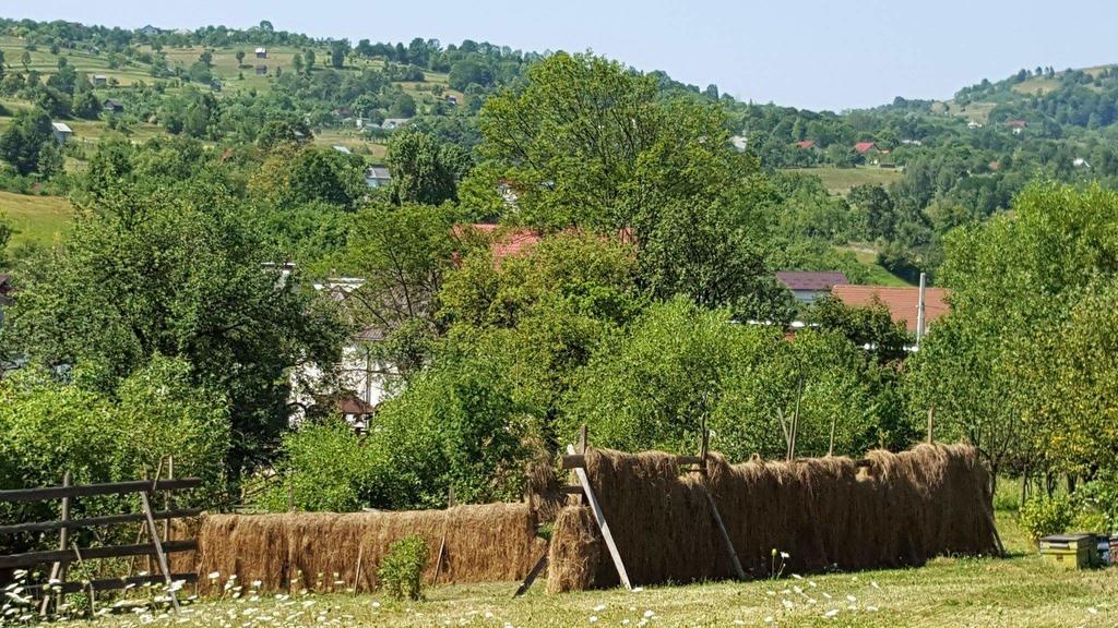Pensiunea Simi مويزي المظهر الخارجي الصورة